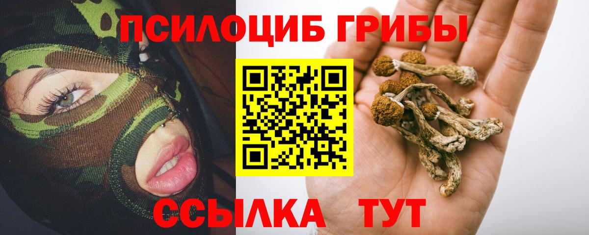 Галлюциногенные грибы мицелий  Псилоцибиновые грибы Psilocybe  Нефтеюганск  Вход с VPN 